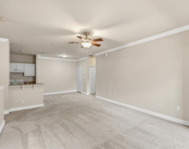 430 Southern Pecan Circle - Photo Thumbnail 12