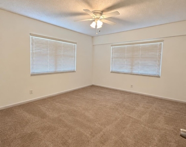 164 Mansfield D - Photo Thumbnail 5