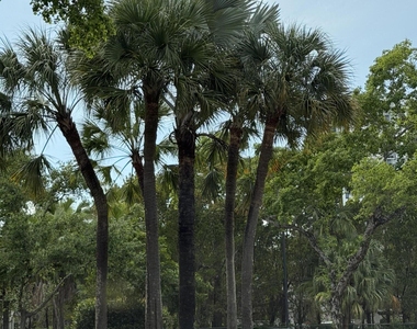 8343 Lake Drive - Photo Thumbnail 24