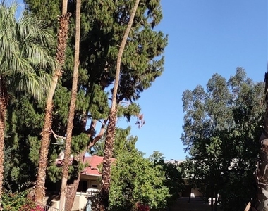 2810 N Arcadia Ct #202 - Photo Thumbnail 18