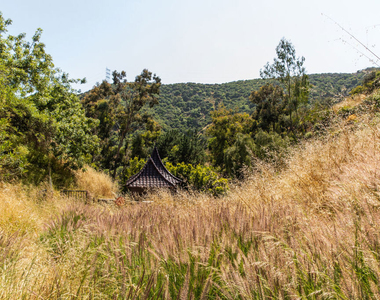 3626 Mandeville Canyon Road - Photo Thumbnail 42
