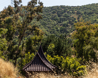 3626 Mandeville Canyon Road - Photo Thumbnail 43