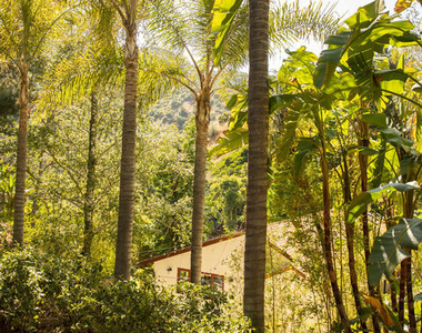 3626 Mandeville Canyon Road - Photo Thumbnail 56