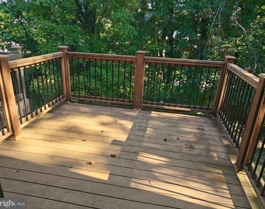 15245 Coachman Terrace - Photo Thumbnail 18