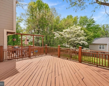 12541 Alder Woods Drive - Photo Thumbnail 43