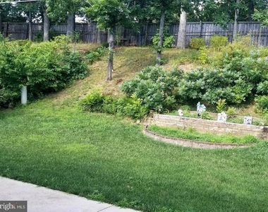 12815 Point Pleasant Drive - Photo Thumbnail 19