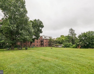 126 Argyle Road - Photo Thumbnail 41