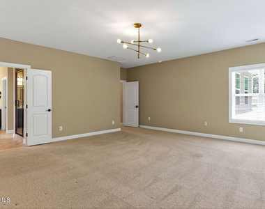4832 Millens Bay Court - Photo Thumbnail 18