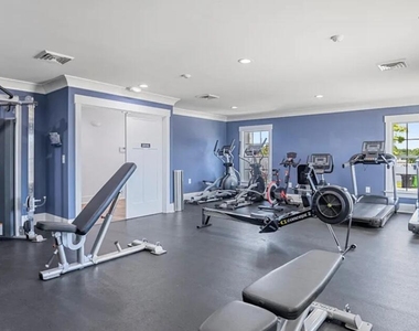 1133 Little Gem Lane - Photo Thumbnail 4