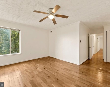 7716 Hanover Parkway - Photo Thumbnail 17