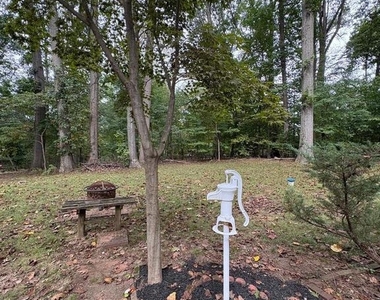 3306 Whitesworth Road - Photo Thumbnail 27