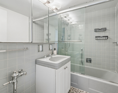 253 E Delaware Place - Photo Thumbnail 10