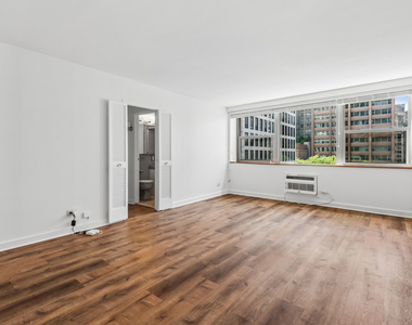 253 E Delaware Place - Photo Thumbnail 3
