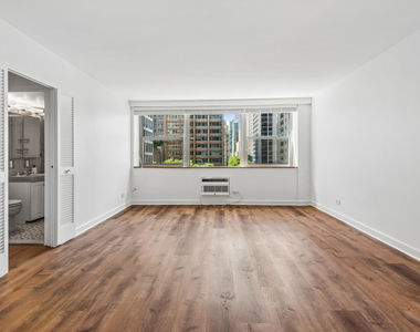 253 E Delaware Place - Photo Thumbnail 2