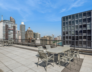 253 E Delaware Place - Photo Thumbnail 15