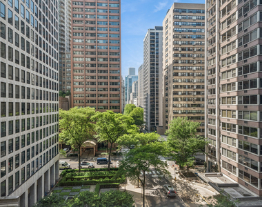 253 E Delaware Place - Photo Thumbnail 17