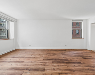 253 E Delaware Place - Photo Thumbnail 7