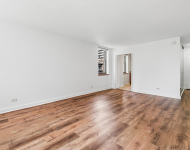 253 E Delaware Place - Photo Thumbnail 4
