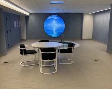 680 N Lake Shore Drive - Photo Thumbnail 20