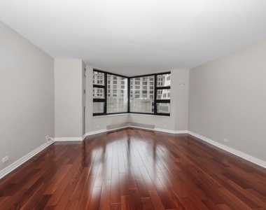 401 E Ontario Street - Photo Thumbnail 3
