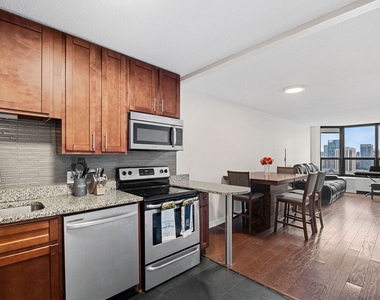 899 S Plymouth Court - Photo Thumbnail 6