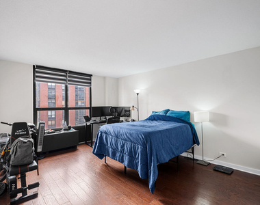 899 S Plymouth Court - Photo Thumbnail 7