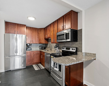 899 S Plymouth Court - Photo Thumbnail 4