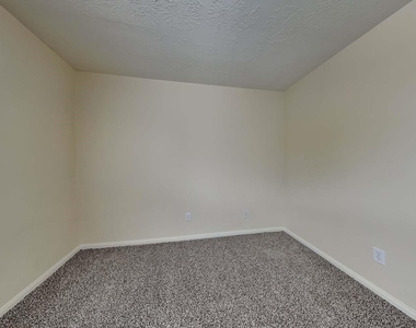 1003 Redcrest Springs Court - Photo Thumbnail 11