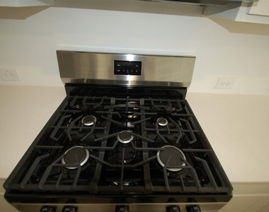 16219 Domestic Dove Way - Photo Thumbnail 3