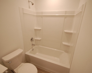 16219 Domestic Dove Way - Photo Thumbnail 11