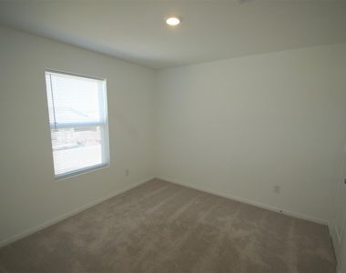 16219 Domestic Dove Way - Photo Thumbnail 13