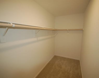 16219 Domestic Dove Way - Photo Thumbnail 8