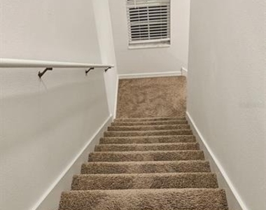 9910 Spanish Lime Court - Photo Thumbnail 14