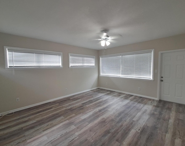 1140 Hernando Street - Photo Thumbnail 4