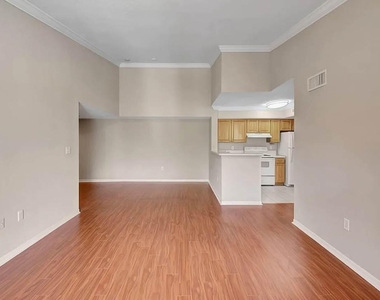 15155 Michelangelo Boulevard - Photo Thumbnail 28