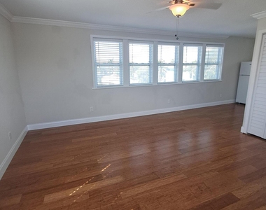 1140 Hernando Street - Photo Thumbnail 21