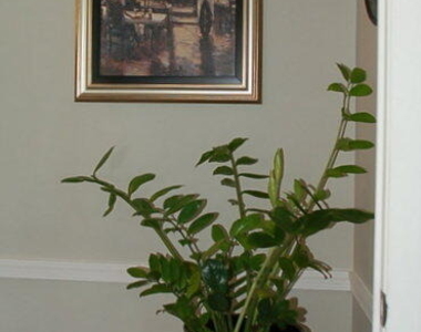 13774 Via Flora - Photo Thumbnail 12