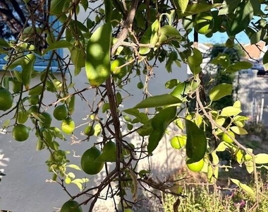 842 E Walnut Avenue - Photo Thumbnail 31