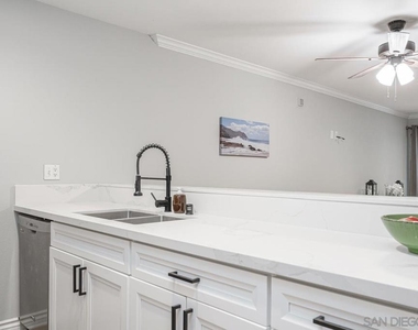 1625 Hotel Cir S - Photo Thumbnail 1