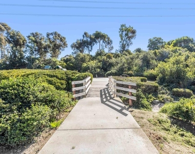 1259 Calle Candelero - Photo Thumbnail 43