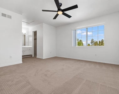 1259 Calle Candelero - Photo Thumbnail 16