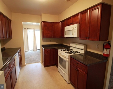 12 Coriander Drive - Photo Thumbnail 7