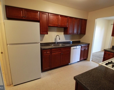 12 Coriander Drive - Photo Thumbnail 6