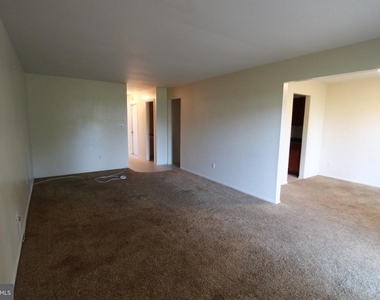 12 Coriander Drive - Photo Thumbnail 4