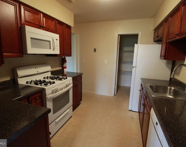 12 Coriander Drive - Photo Thumbnail 8