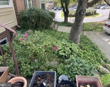 14503 Banquo Terrace - Photo Thumbnail 10