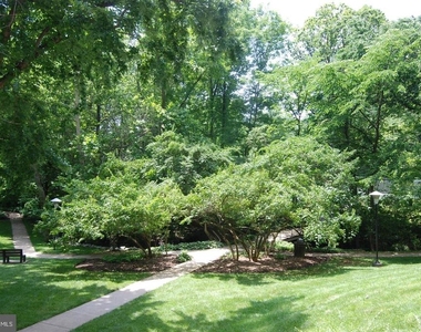10500 Rockville Pike - Photo Thumbnail 26
