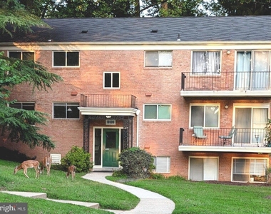 10506 Weymouth Street - Photo Thumbnail 12