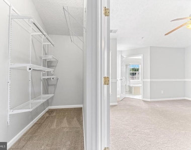 427 Mayapple Court - Photo Thumbnail 22
