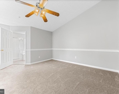 427 Mayapple Court - Photo Thumbnail 20